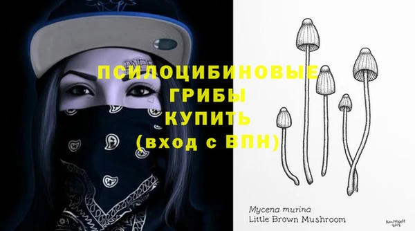 стафф Арсеньев