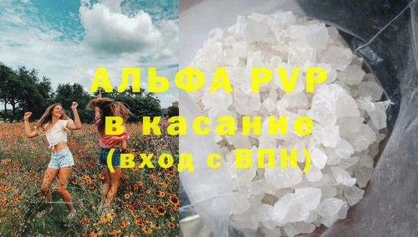 стафф Арсеньев