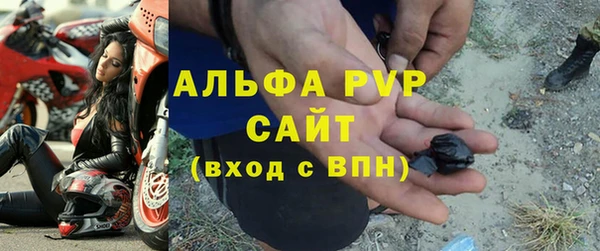 стафф Арсеньев