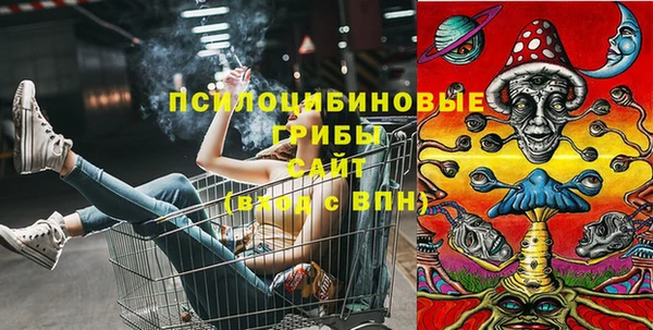 кокс Струнино
