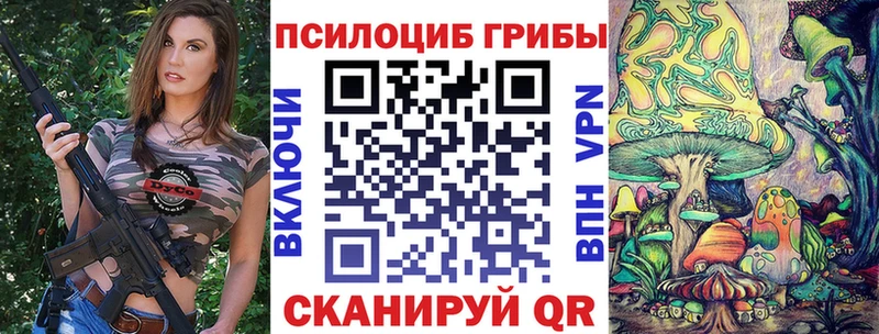 Галлюциногенные грибы прущие грибы  блэк спрут вход  Гдов 